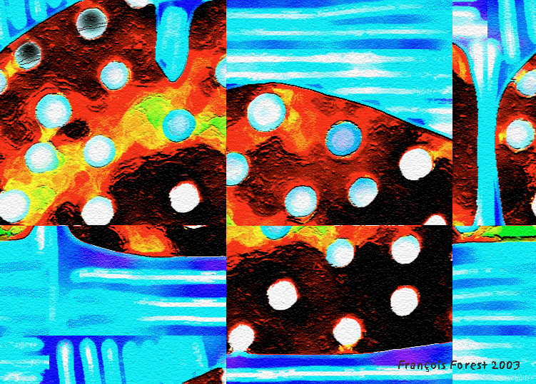 CHAT D'ORIGINE INCONNUE.gif
